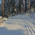 Tervalepikon Torpat Alpehytte Sysmä