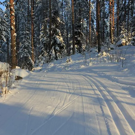 Tervalepikon Torpat Chalet Sysma