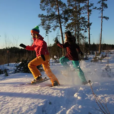 Chalet Tervalepikon Torpat Sysmä