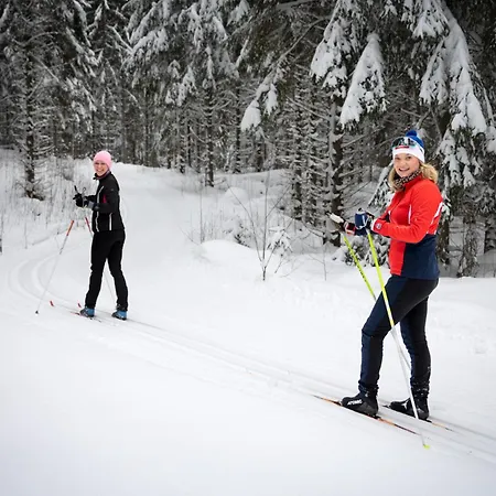 شاليه Tervalepikon Torpat *