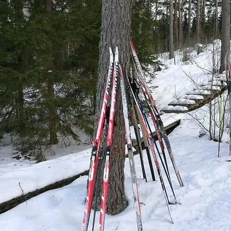 Tervalepikon Torpat Chalet Sysma