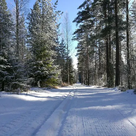 Chalet Tervalepikon Torpat