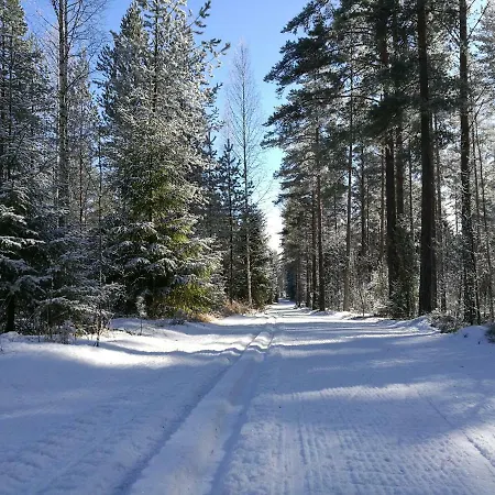 Chalet Tervalepikon Torpat