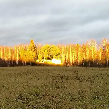 Tervalepikon Torpat * Sysmä