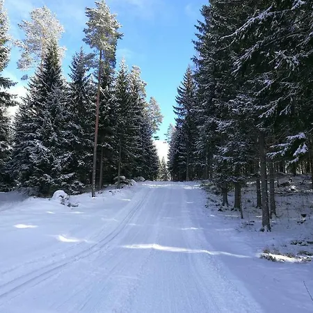 Chalet Tervalepikon Torpat Sysma
