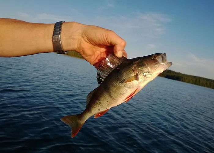 Tervalepikon Torpat شاليه