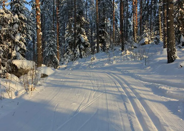 Tervalepikon Torpat شاليه Sysmä