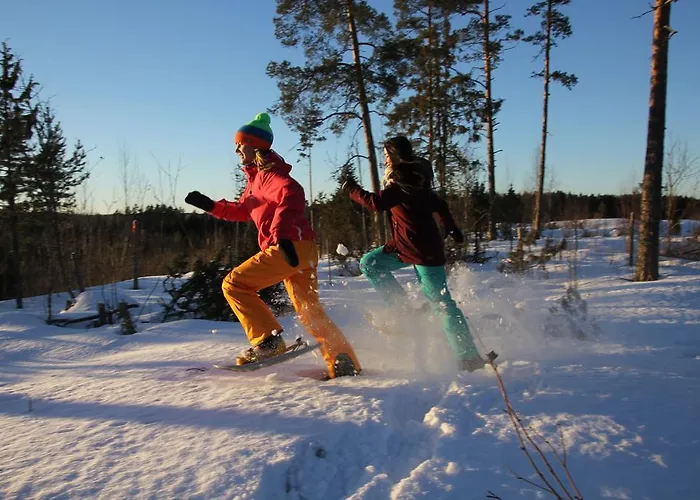 شاليه Tervalepikon Torpat Sysmä