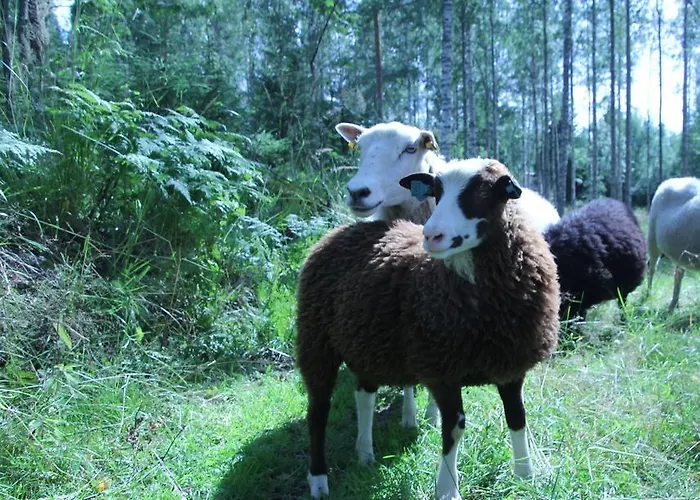 木屋 特拉勒托尔帕度假屋 *