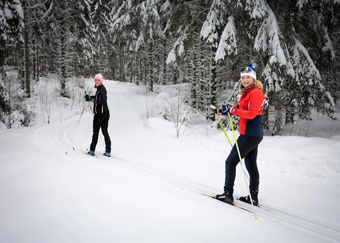 شاليه Tervalepikon Torpat *