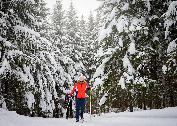 בקתה Tervalepikon Torpat Sysmä