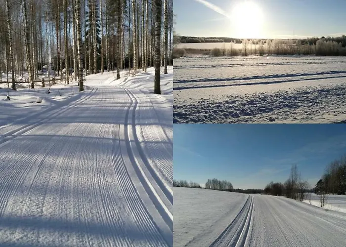 Tervalepikon Torpat Sysmä