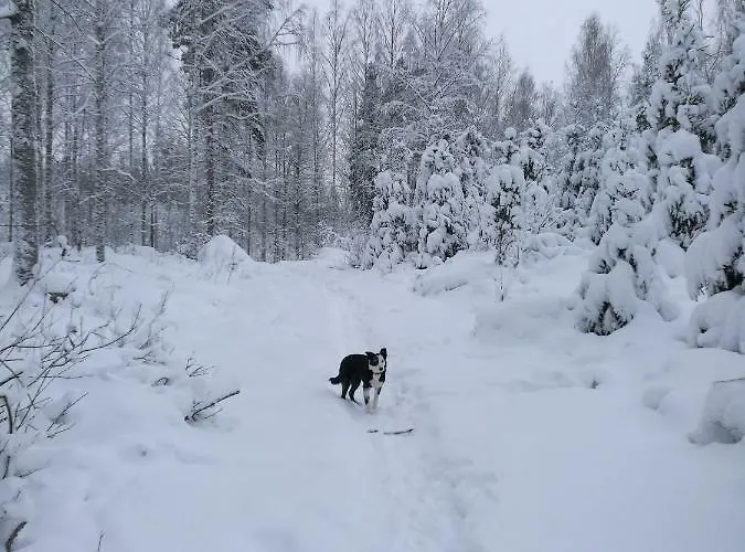 Tervalepikon Torpat شاليه