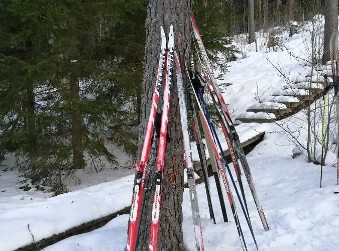 Tervalepikon Torpat شاليه Sysmä