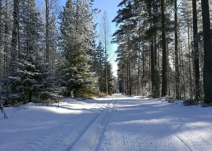 شاليه Tervalepikon Torpat