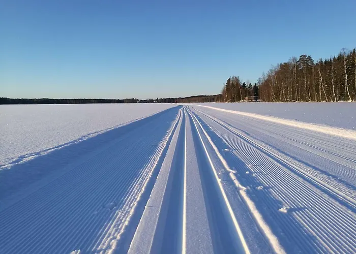 Tervalepikon Torpat شاليه *