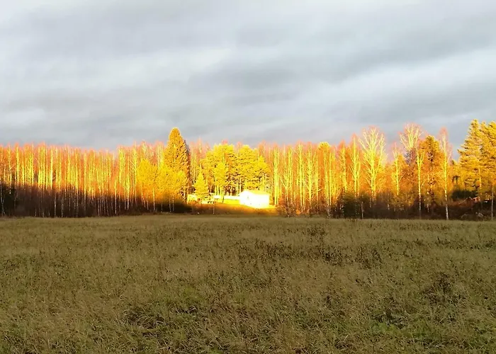 Tervalepikon Torpat * Sysmä