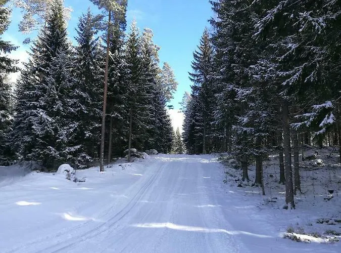 شاليه Tervalepikon Torpat Sysmä